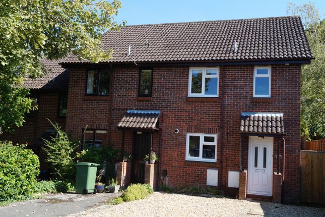 Thumbnail Property to rent in Manor Close, Winchester
