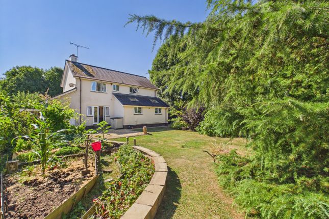 Stonebridge, Drayford, Crediton photo 3