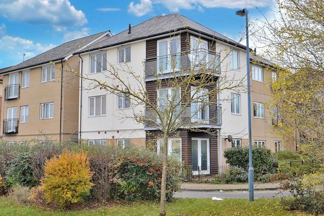 Thumbnail Flat to rent in Seaton Grove, Broughton