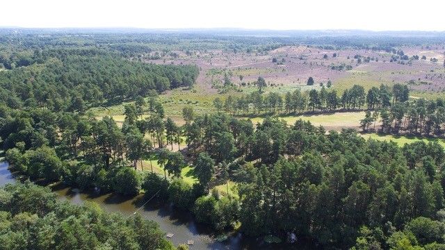 Views Over Hankley Common From Above