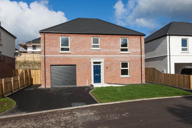 Thumbnail Detached house for sale in Craighill Manor, Ballyclare, County Antrim