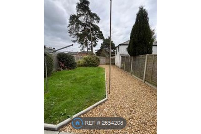 Back Garden