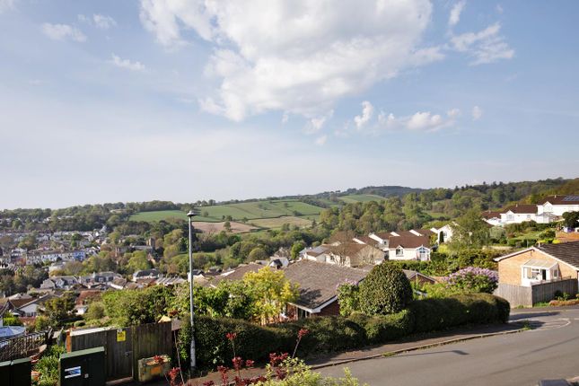 23, Meadow Park, Dawlish photo 3