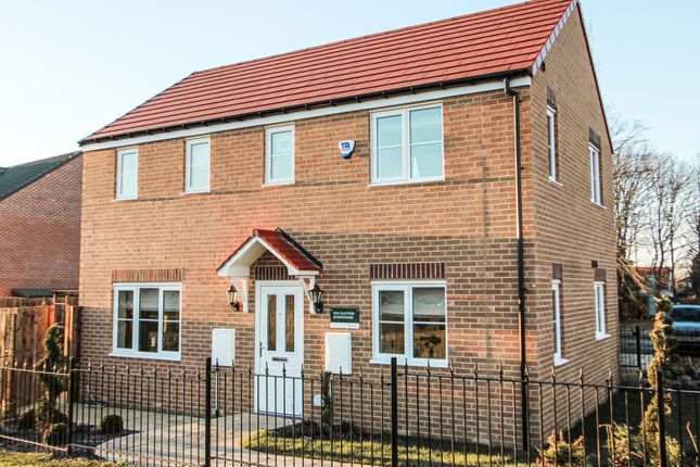 Thumbnail Detached house for sale in "The Clayton Corner" at Ladgate Lane, Middlesbrough