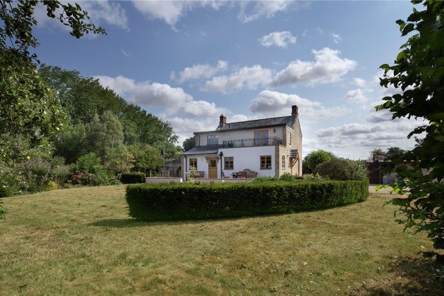 Rear Elevation
