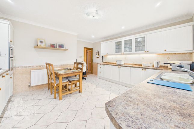 44 Stafford Avenue, Norwich photo 3