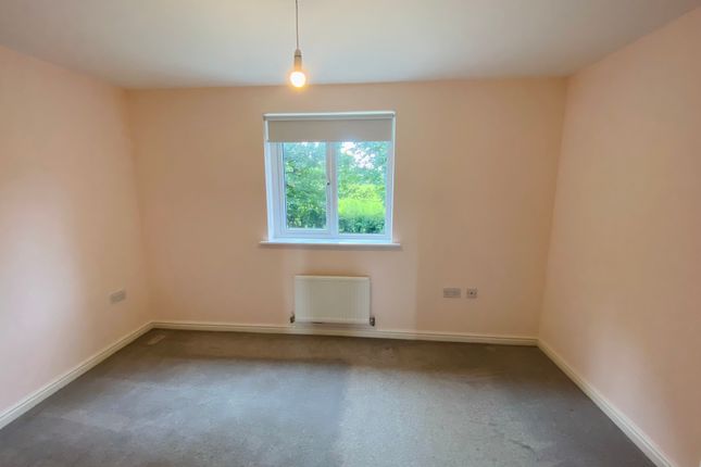 123, Carmarthen photo 4