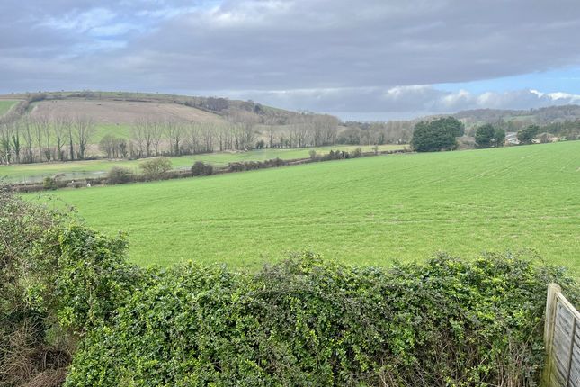 33, Hod View, Blandford Forum photo 2