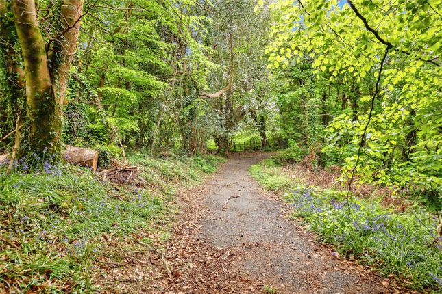 Tynybedw,, Llanafan, Ceredigion photo 4