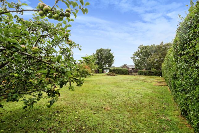 Bungalow for sale in Chapmans Town Road, Rushlake Green, Heathfield, East Sussex