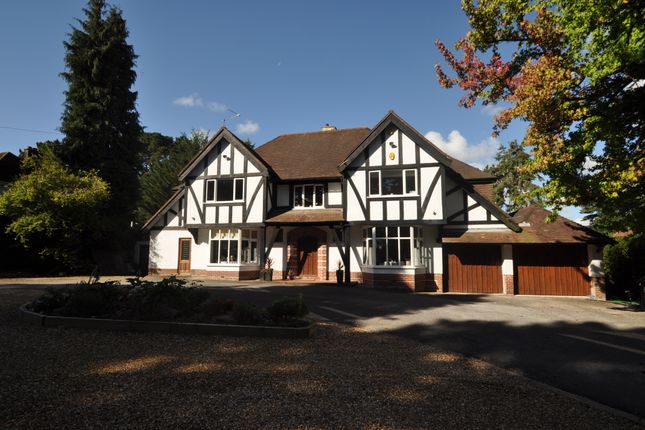 Thumbnail Detached house for sale in Golf Links Road, Ferndown