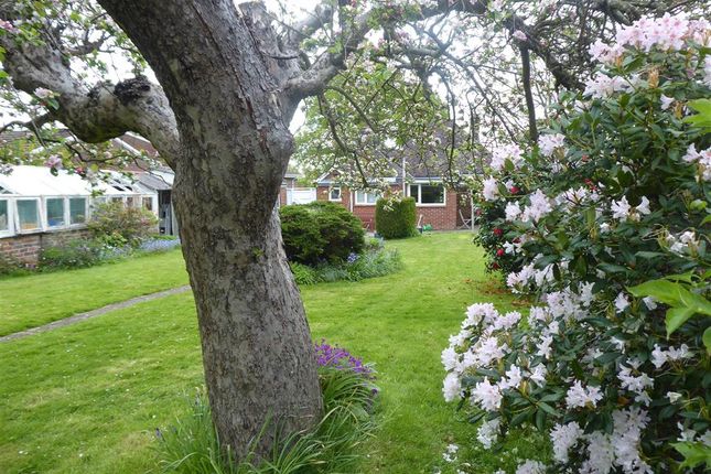 Detached bungalow for sale in The Green, Ewhurst, Cranleigh, Surrey