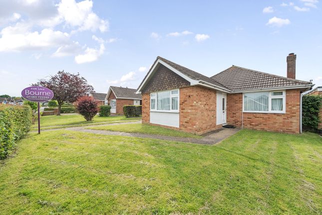 Thumbnail Bungalow for sale in Hawthorn Way, Bisley, Woking, Surrey