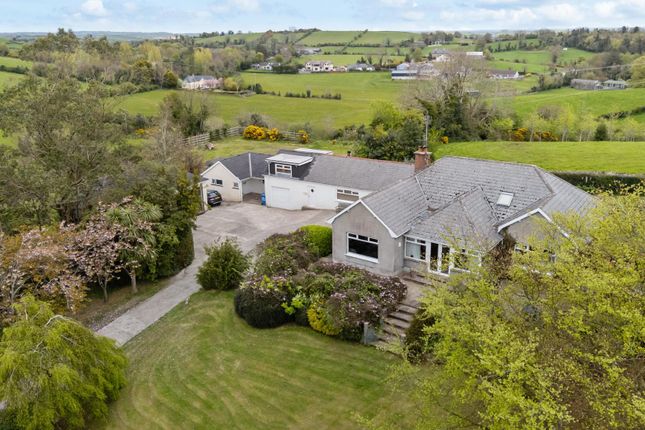 66, Dunmore Road, Ballynahinch photo 2