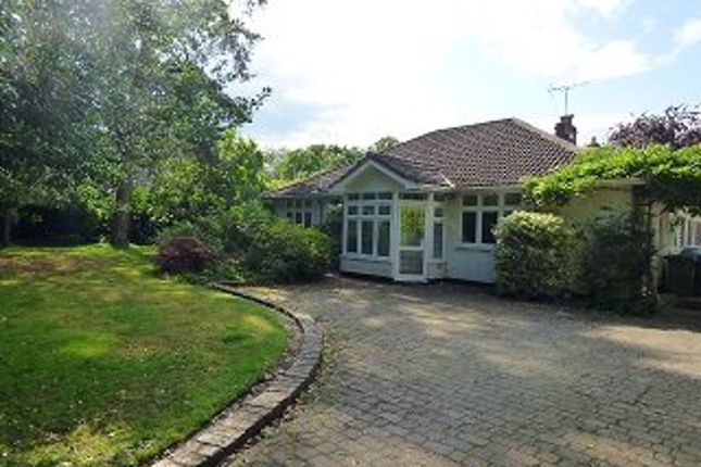 Thumbnail Bungalow to rent in Lower Road, Great Bookham, Bookham, Leatherhead