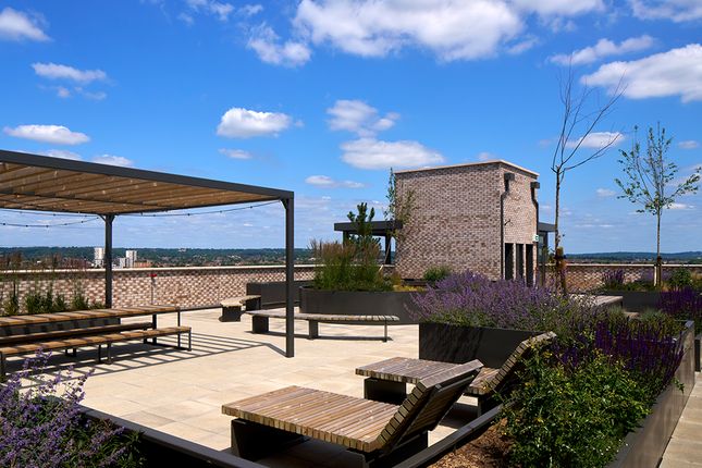 Roof Terrace