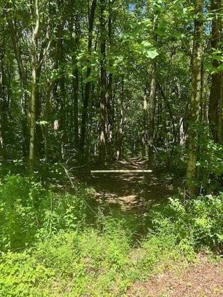 Thumbnail Land for sale in Burnt Mountain Road, Georgia, United States Of America