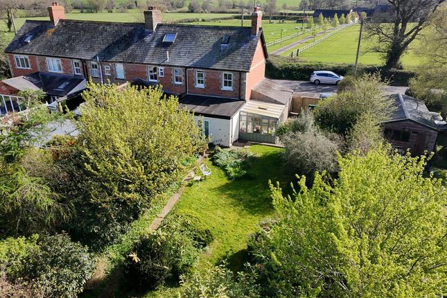 4 Axe View, Axe Road, Drimpton photo 4