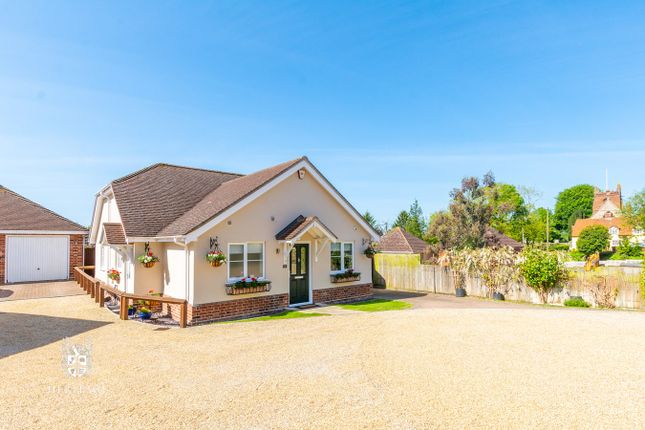 Thumbnail Bungalow for sale in Bones Yard, Colne Engaine