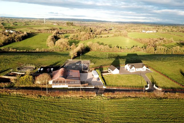 Thumbnail Equestrian property for sale in Scallen Road, Irvinestown