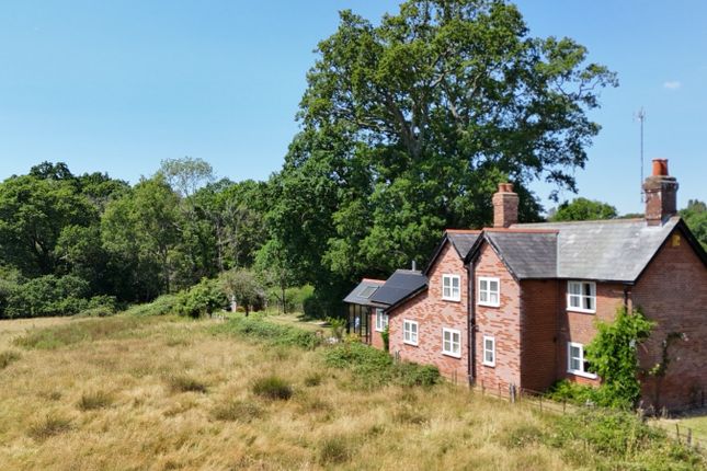 Twin Oaks,, Canterton Lane, Lyndhurst photo 2