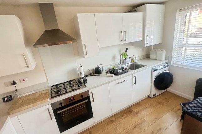 34, Stanbury Row, Exeter photo 4