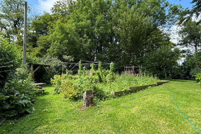 Garden-9.Jpg