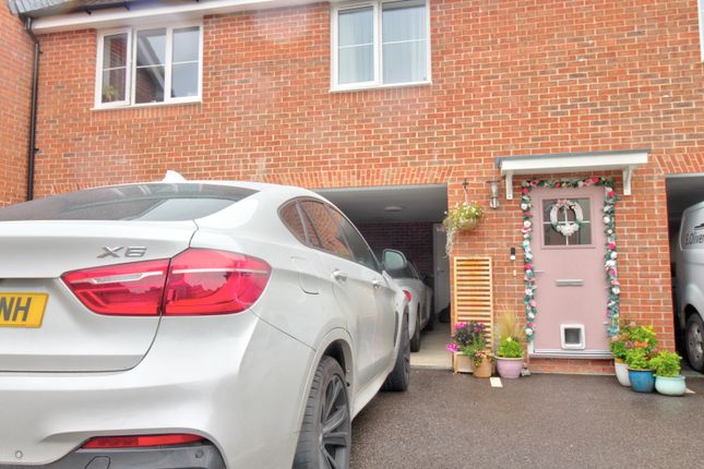 Front/Driveway