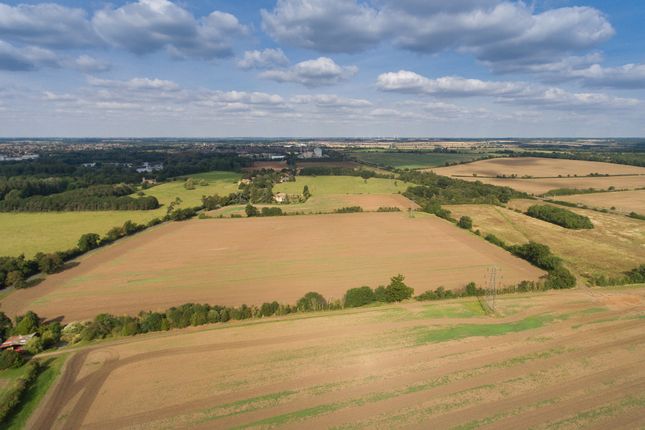 Thumbnail Land for sale in Little Barford, St Neots