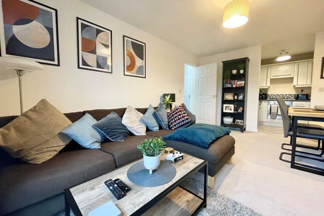 36, Sheffield photo 2