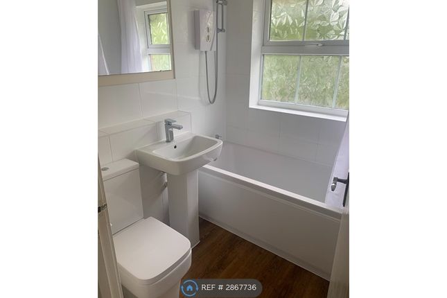 Campania Grove, Luton photo 3