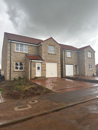 Thumbnail Detached house to rent in Copper Beech Court, Goldstone, Berwick-Upon-Tweed