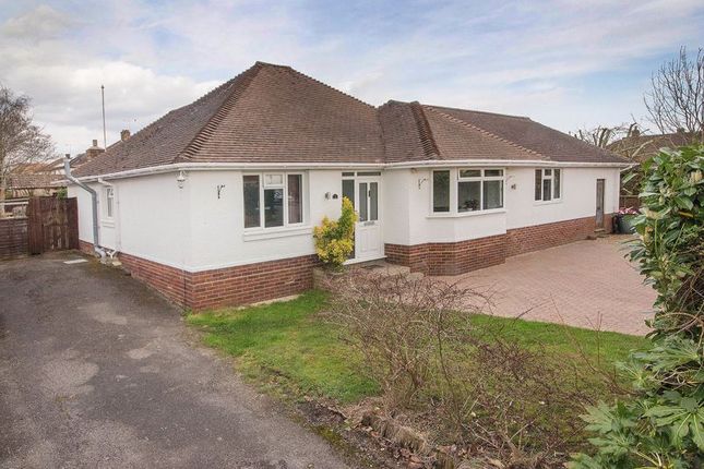 Thumbnail Detached bungalow for sale in Manor Close, Totton, Southampton