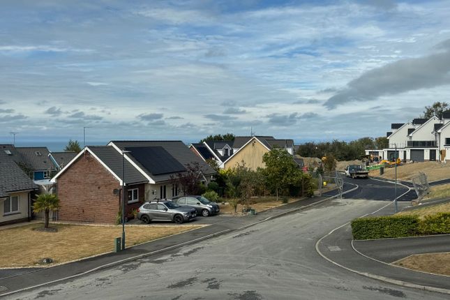 33, Dolphin Court, New Quay photo 3