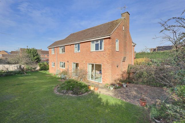 26, Williams Orchard, Highnam photo 3