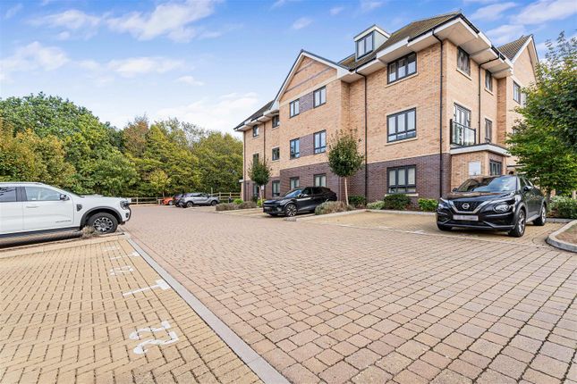 William Close, Welwyn Garden City photo 2