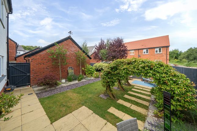 1325604-4-6877746...