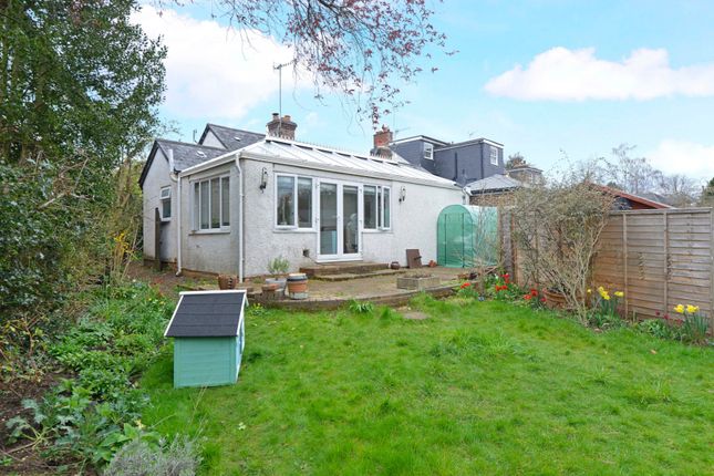 Bungalow for sale in Witley, Surrey