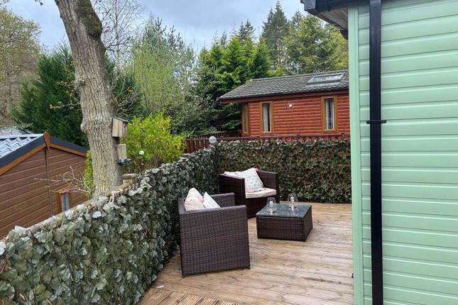 Abi Wimbledon, Penrith photo 4