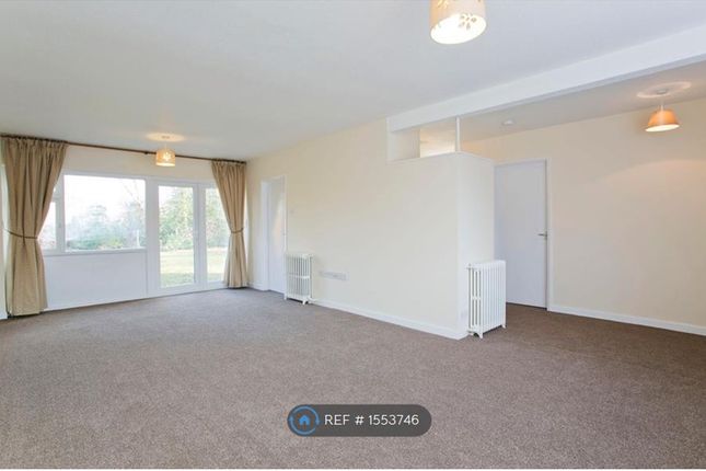 Thumbnail Semi-detached house to rent in Ravensfield, Slough