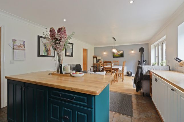 37, Mortimer Road, Sheffield photo 4