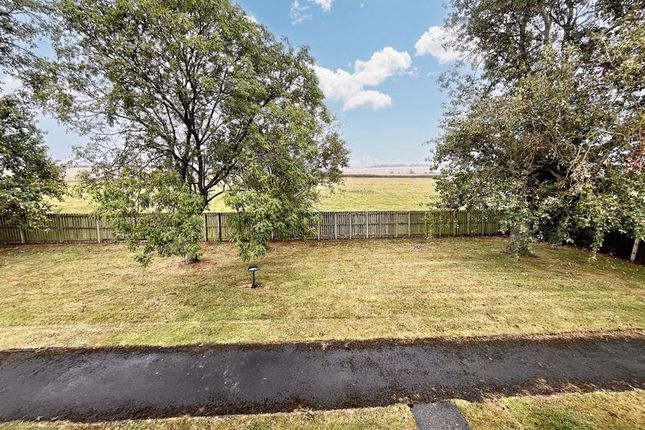 88, Chibburn Avenue, Morpeth photo 2