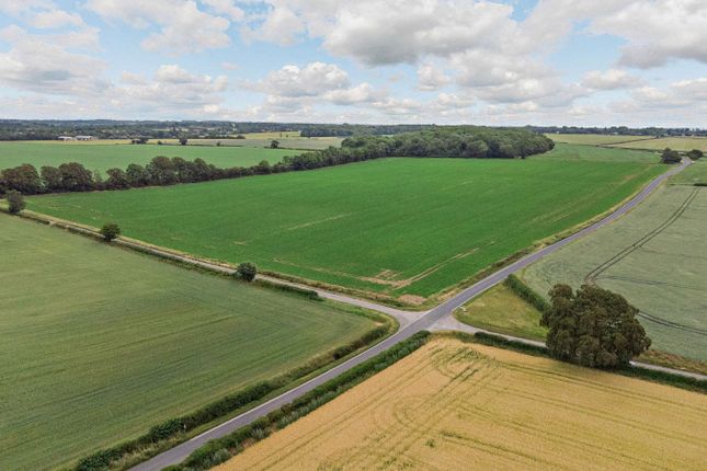 Land for sale in Brinkley Road, Brinkley, Newmarket, Suffolk