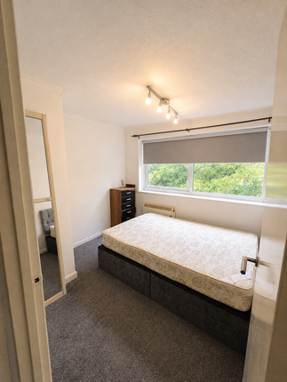 20, Luton photo 4