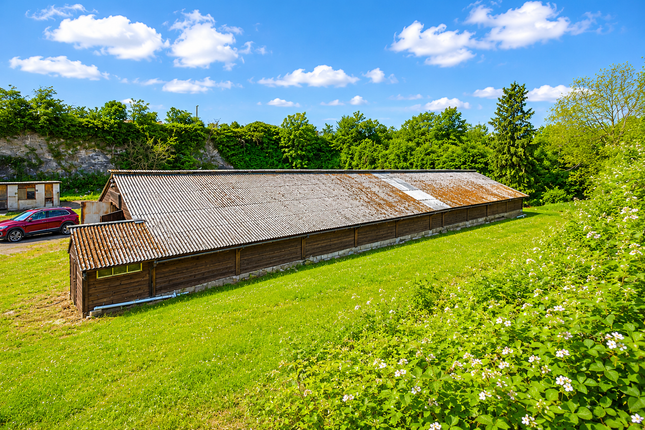 Abbey Game Farm, Raw Lane, Rotherham photo 3