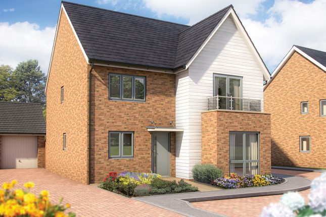 Thumbnail Detached house for sale in "Firecrest" at The Gateway, Bexhill