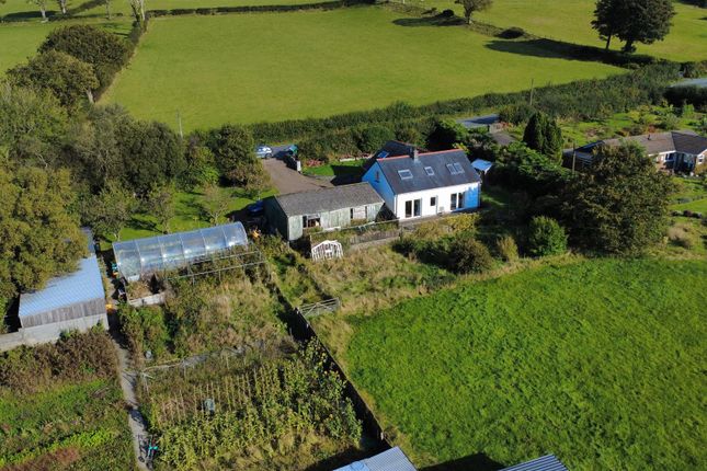 Dji_Fly_20250923_161854_827_1758704208359_Photo_Op