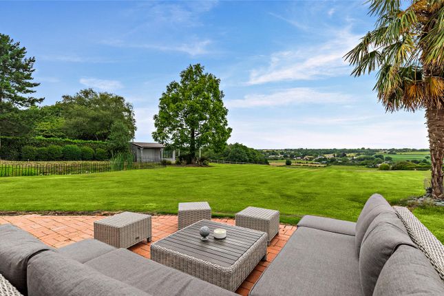 Patio And Garden