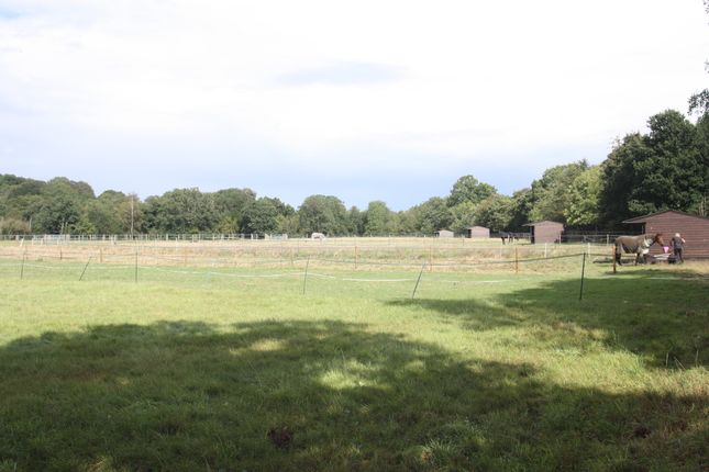 Land for sale in Bacon Lane, Wishanger