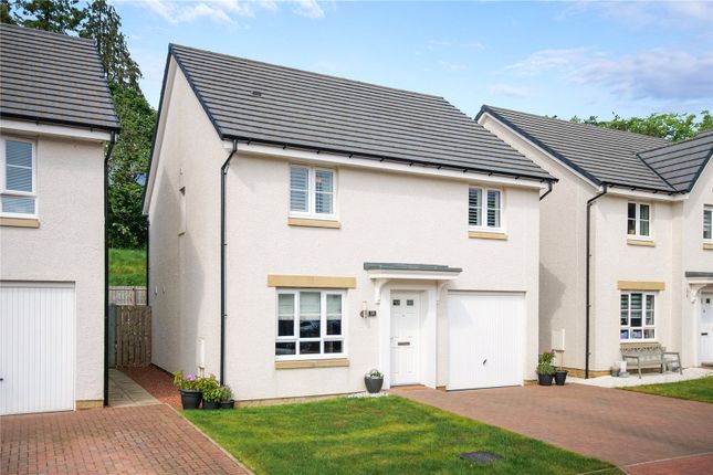 Thumbnail Detached house for sale in Whitebeam Grove, Brookfield